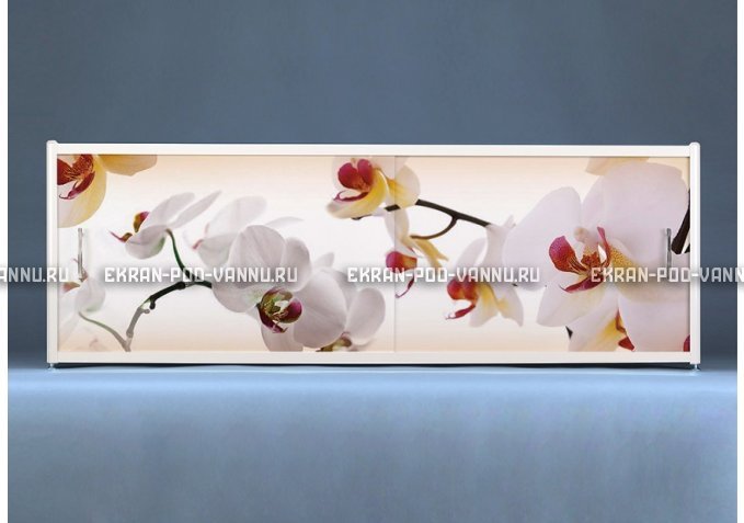 Раздвижной ФОТО экран - Orchid – купить по цене 8500 руб. в интернет-магазине в городе Чебоксары картинка 1