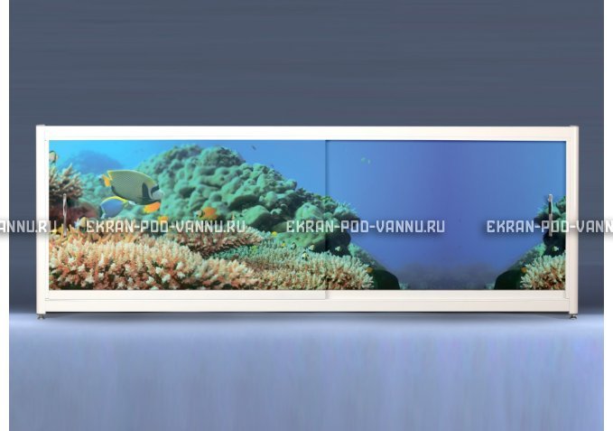 Экран на роликах EUROPLEX Коралловые рифы – купить по цене 12400 руб. в интернет-магазине в городе Чебоксары картинка 1
