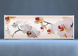 Раздвижной ФОТО экран - Orchid